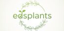 Edsplants